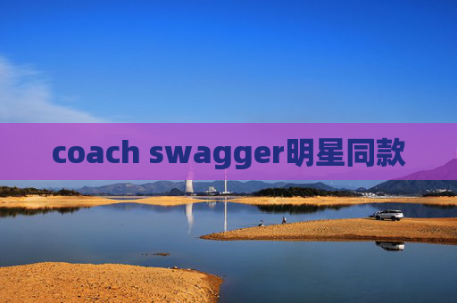 coach swagger明星同款